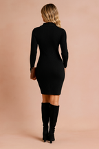 Emilia | Collared Sweater Dress 1